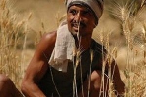 Shallow Talk That Signifies Nothing To A Commoner -