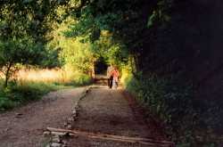 Sharing intimate Memories with your Spouse makes your Relationship stronger - 25 Sep 16