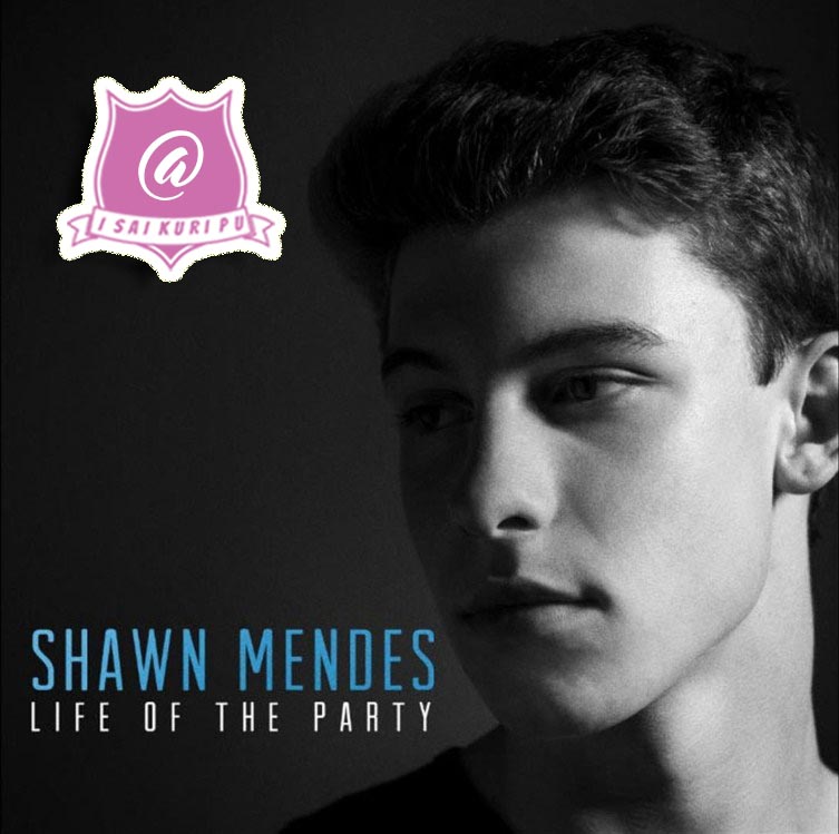 Shawn Mendes - Life Of The Party Keyboard Notes