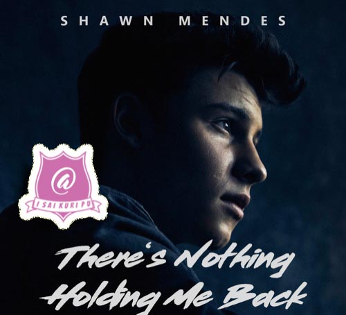 Shawn Mendes - There