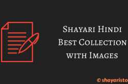 Shayari Hindi [1000  Best Collection with Images]