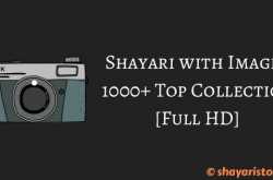 Shayari with Images [1000  Top Collection in Full HD]