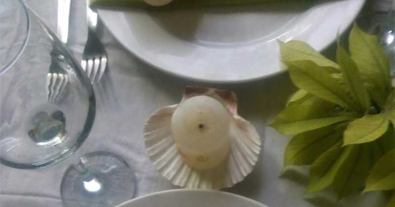 Shells #Greens#Whites:))