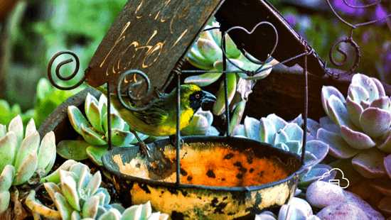 Sheltered!7 Min Read