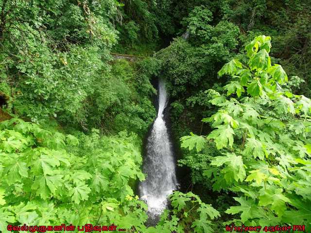 Shepperds Dell Falls