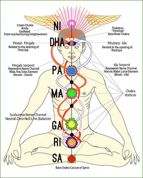 Shobhillu Sapta Svara