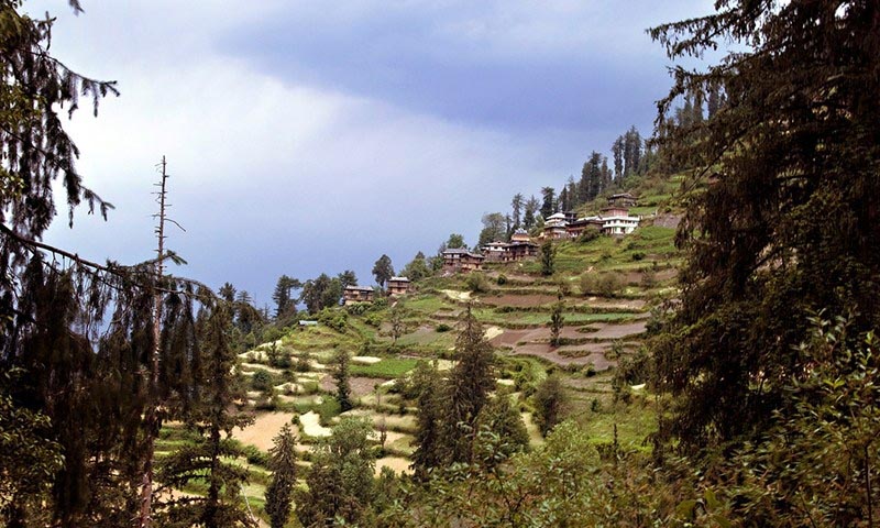 Shoja Of Himachal Pradesh: #AtoZchallenge - The Beauty Of Life