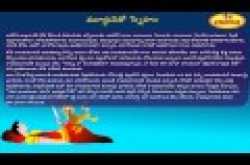 short stories || murkuni sneham || audio story in telugu