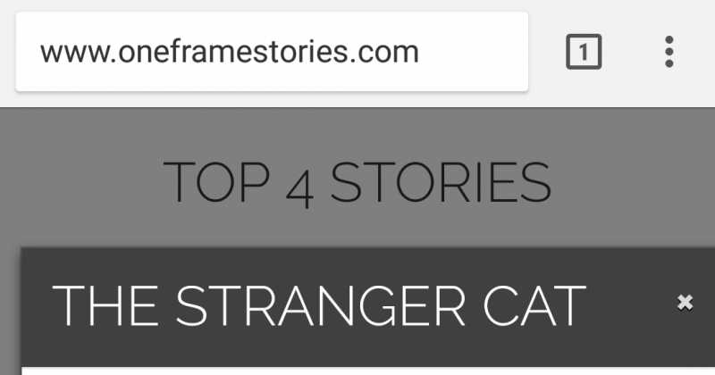Short Story: A Stranger Cat (One Frame Stories) 