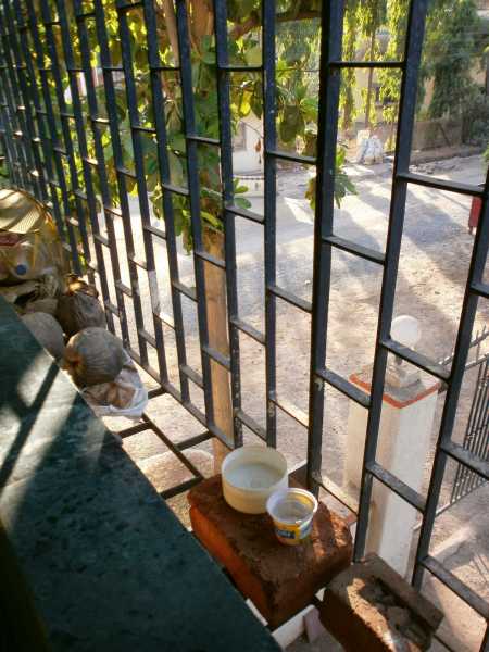 Short Story Gone Long: Kafka On The Floor