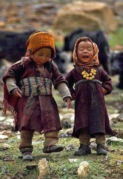 Shoshin At Play’s        Limerick Ver.1.0