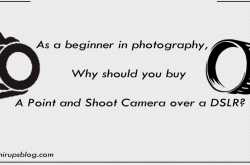 Should You Buy a DSLR or a Compact Camera-if you are a beginner in photography?