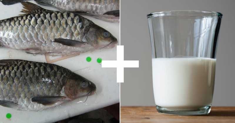 Side Effects Of Eating Fish And Milk  Together 