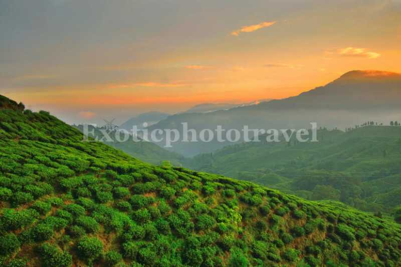 Sightseeing Around Mirik And Its Surrounding Areas - EXOTIC PHOTO TRAVEL