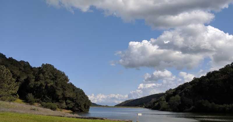 Signals From The Universe 