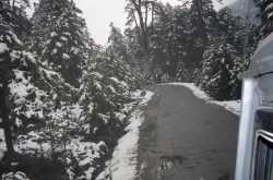 Sikkim,a dream land