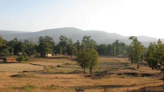 Similipal Tiger Reserve Forest And National Park Near Baripada  In Mayurbhanj District Of  Orissa India