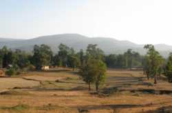 Similipal Tiger Reserve Forest and National Park near Baripada  in Mayurbhanj District of  Orissa India