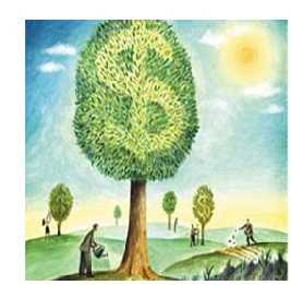 Simple Tips That Can Help You To Grow Your Income