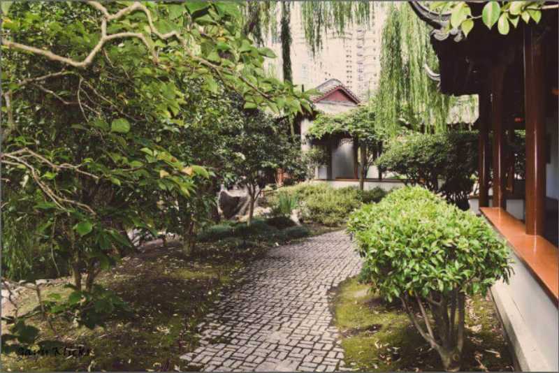 Sindhanai Chidharalgal: Have You Visited Chinese Garden Of Friendship At Pyrmont Bay, Sydney Australia ? ?