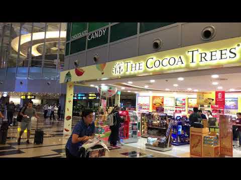 Singapore Changi Airport
