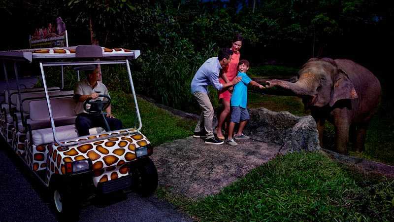 Singapore Night Safari: Everything You Wanted To Know & Practical Tips