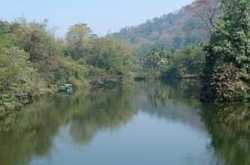 Singing birds awaits you to Thattekad