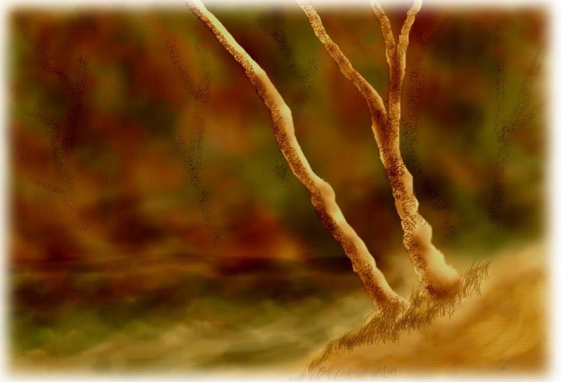 Sinking Island-Majuli