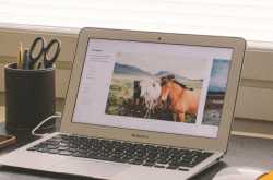 Six Months into 2019 and I Found My Muse Back #ZombieBlogHop