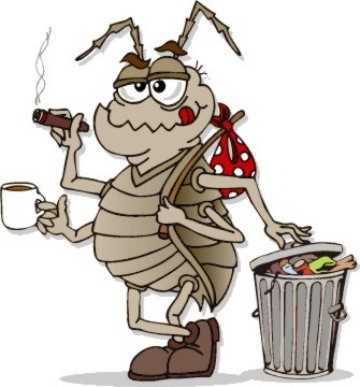 Six Legs In A Blue Box 