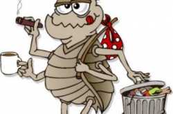 Six legs in a blue box 