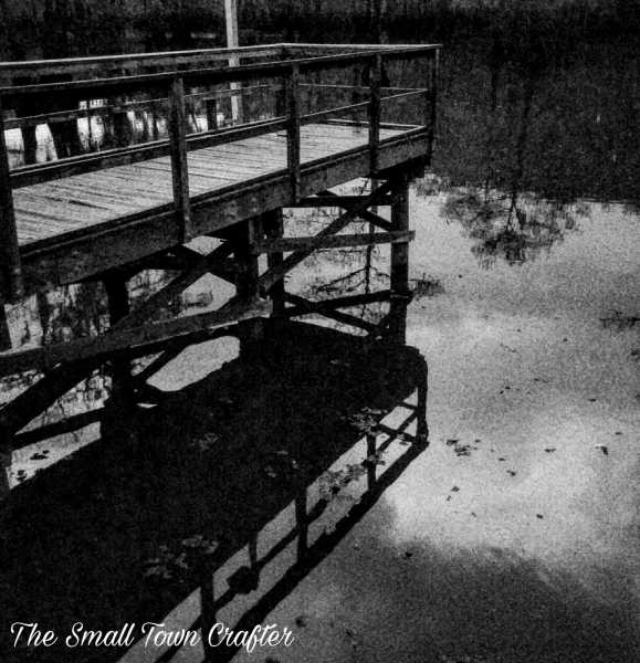 Sketching Caddo Lake State Park 