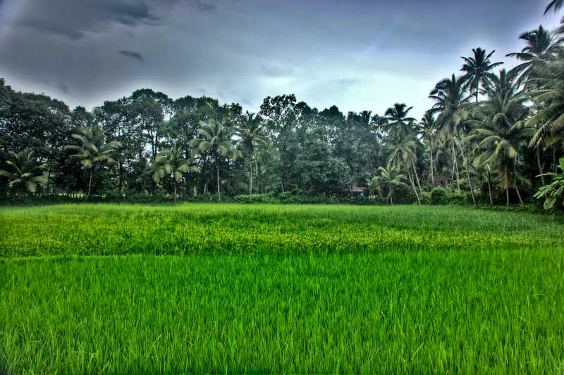 Skywatch Friday - Fields Of My Village