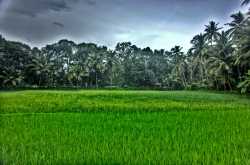Skywatch Friday - Fields of My Village