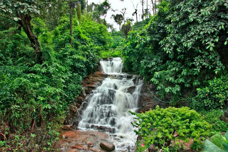 Skywatch Friday - The Rainforest