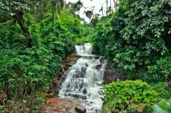 Skywatch Friday - The Rainforest