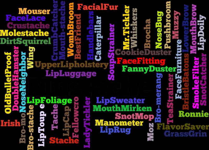 Slang Words For Beard In 2019 - Beard Growth Tips