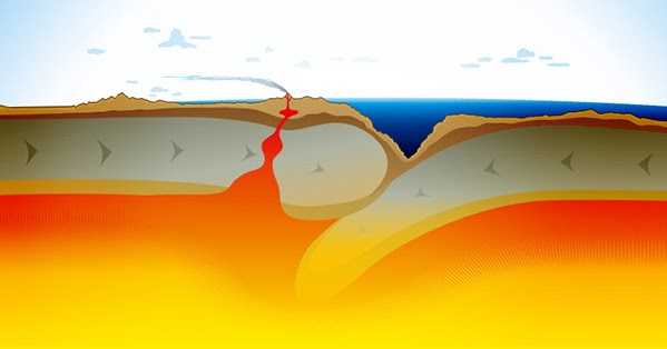 Slow Slip And Fluid Drainage Could Be A Reason For Megathrust Earthquakes