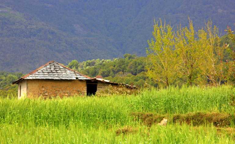 Slow Travel In Dharamkot