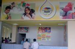 Small Scale Business - Nandini Milk Parlor