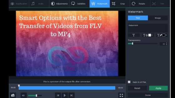 Smart Options With The Best Transfer Of Videos From FLV To MP4