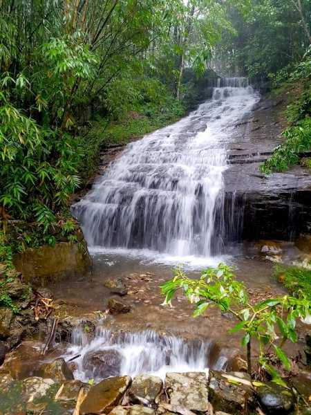 Smell The Coffee In Coorg - Itchy Feet