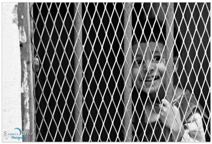 Smile: The Curve Of Life