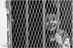 smile: the curve of life