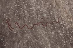 Snakes, Mythology and Irish Coffee