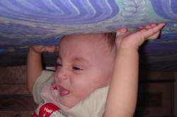 Snapshots:Symbols of Innocence