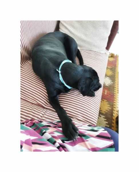 Snapshots From My Book O