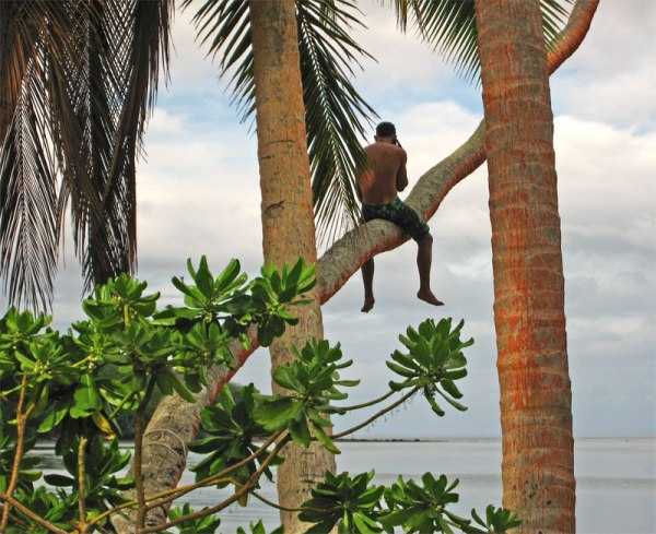 Sneaky #FridayFictioneer