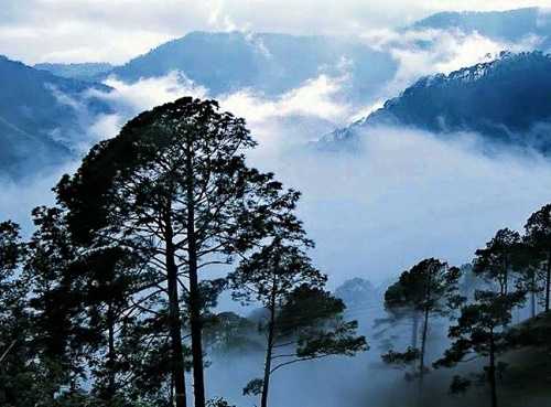 Snow Fall In South India? Impossible |  Be A Seeker Visit And Enjoy 