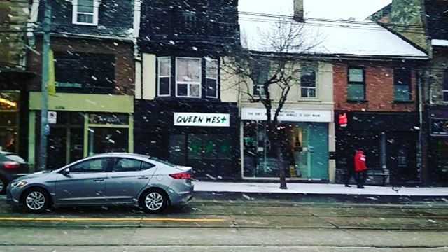 Snowfall In Toronto, Ontario